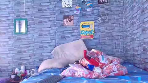 Snapshot of lady_godss chatting on December 2025 07:08:02 PM Lady godss online show from December 2025 07:08:02 PM