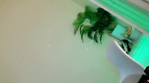 Snapshot of lady_in_black18 chatting on September 2025 10:26:01 PM Stella online show from September 2025 10:26:01 PM