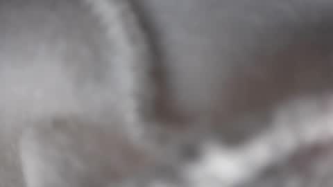 hugbug online show from December 2024 04:34:01 AM