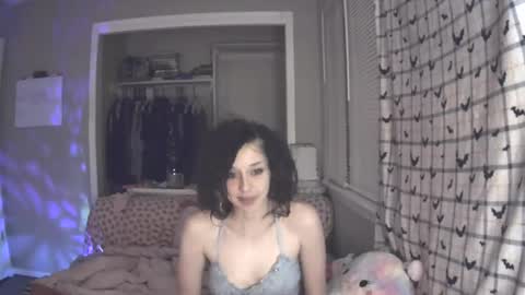 hugbug online show from December 2024 03:04:02 AM