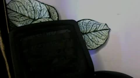 Snapshot of ladylilasexy chatting on August 2026 03:33:01 PM sexylila online show from August 2026 03:33:01 PM