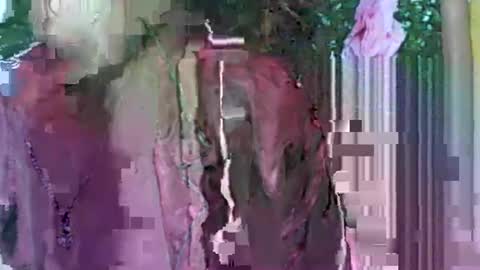 LadyXSnakes online show from September 2025 04:03:01 AM