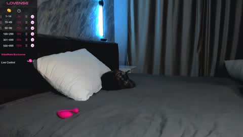 Bella online show from January 2025 01:49:01 PM