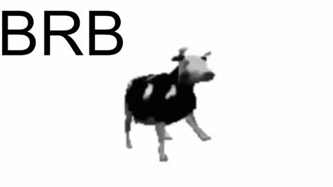 just call me Lana  and her security online show from January 2025 02:28:01 PM