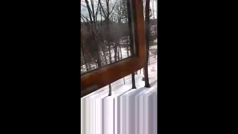 langederek2 online show from March 2026 03:27:02 PM