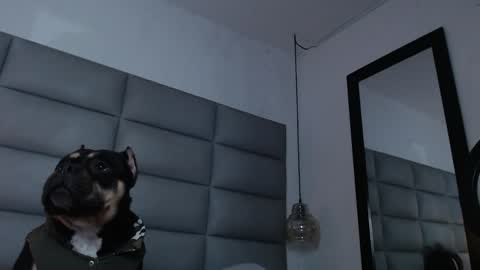 lara online show from December 2024 12:00:01 AM