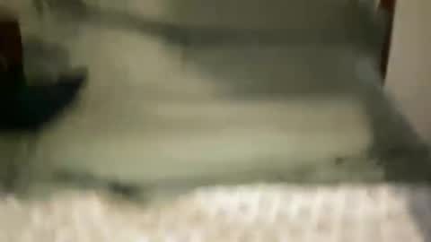 HUNG YUNG STR8 online show from February 2026 07:03:02 PM