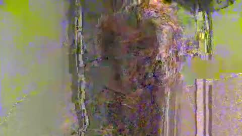 lathams1 online show from April 2026 08:55:02 PM