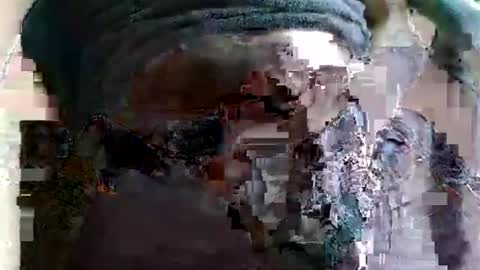 joseph online show from March 2026 01:04:02 PM