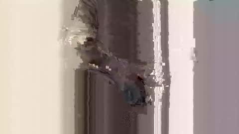 Latinabunnyxxx online show from October 2025 08:23:01 AM