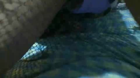 latinoboi2 online show from April 2026 04:57:01 AM