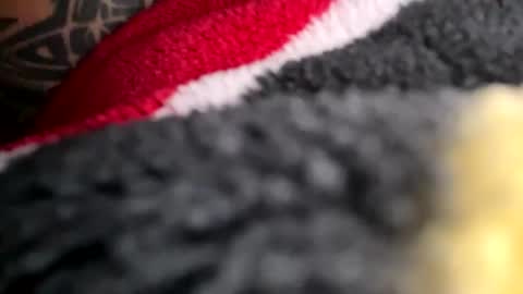 Mexakin online show from November 2025 08:58:01 PM