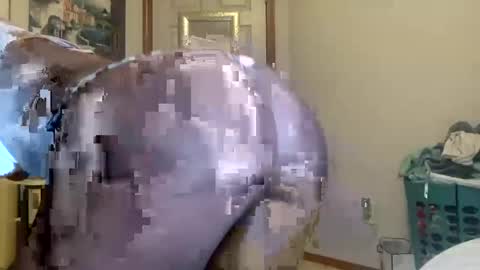 layla online show from September 2025 06:48:02 AM