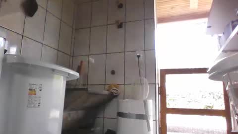 kelly online show from February 2025 04:22:02 PM