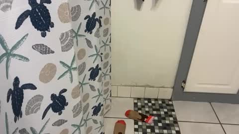 Snapshot of lazyladypug425146 chatting on December 2025 05:17:01 PM lazyladypug425146 online show from December 2025 05:17:01 PM