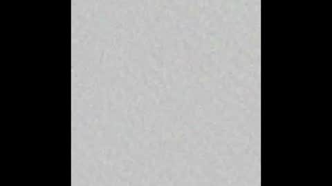 leejhonsonnn online show from November 2025 11:33:02 AM