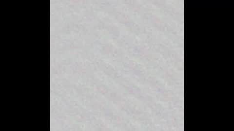 leejhonsonnn online show from November 2025 10:37:01 AM