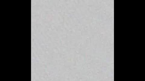 leejhonsonnn online show from November 2025 11:32:01 AM