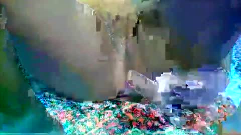 Snapshot of leilah_hope chatting on February 2026 05:47:02 AM leilah_hope online show from February 2026 05:47:02 AM