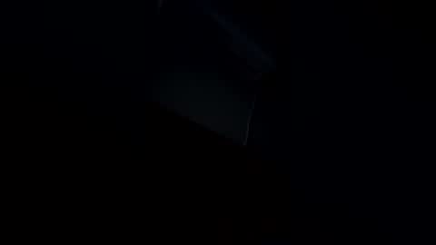 Snapshot of leo0829 chatting on February 2026 07:30:01 AM leo0829 online show from February 2026 07:30:01 AM