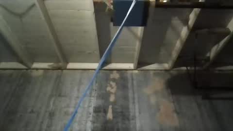 Snapshot of leo199984 chatting on November 2025 05:17:01 AM leo199984 online show from November 2025 05:17:01 AM