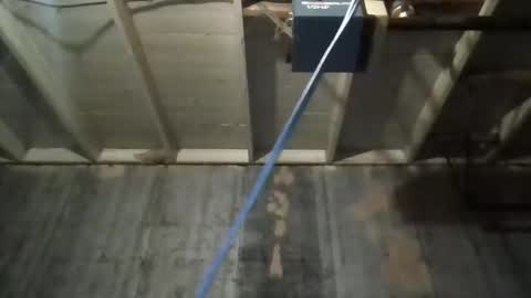 Snapshot of leo199984 chatting on November 2025 03:39:02 AM leo199984 online show from November 2025 03:39:02 AM