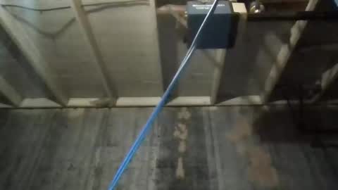 Snapshot of leo199984 chatting on November 2025 04:47:01 AM leo199984 online show from November 2025 04:47:01 AM