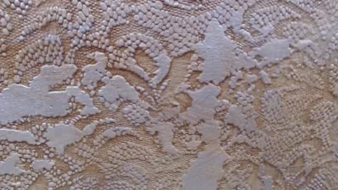 leoroman online show from February 2025 06:24:02 PM