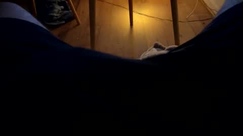 ler_11 online show from February 2026 12:33:02 AM