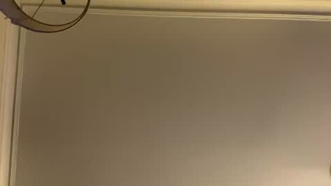 letmetasteit4444 online show from July 2026 02:48:02 AM