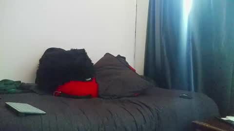 Torres online show from April 2026 12:36:01 PM