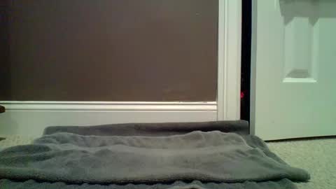 Snapshot of lets_orgasm_ chatting on January 2025 12:54:02 AM Lets Orgasm online show from January 2025 12:54:02 AM