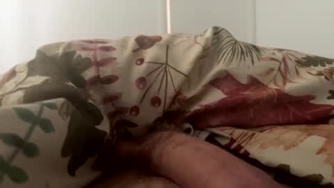 Snapshot of letsgohome2222 chatting on October 2025 02:37:01 PM letsgohome2222 online show from October 2025 02:37:01 PM