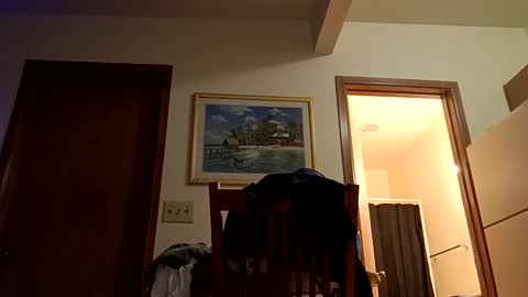 Snapshot of letsplay361 chatting on March 2025 08:05:01 AM letsplay361 online show from March 2025 08:05:01 AM