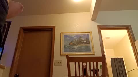 Snapshot of letsplay361 chatting on March 2025 01:47:01 PM letsplay361 online show from March 2025 01:47:01 PM