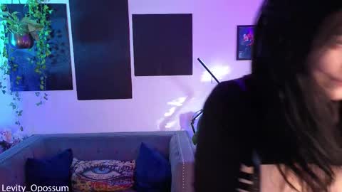 Levity online show from November 2025 11:06:01 PM