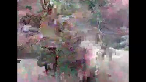 Snapshot of leweylewy chatting on November 2025 11:58:02 PM leweylewy online show from November 2025 11:58:02 PM