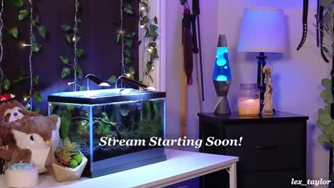 Snapshot of lex_taylor chatting on December 2024 04:46:02 PM Lex online show from December 2024 04:46:02 PM