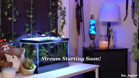 Snapshot of lex_taylor chatting on January 2025 03:22:01 AM Lex online show from January 2025 03:22:01 AM