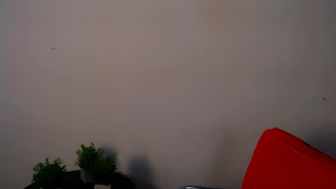 Alexia online show from May 2026 11:17:01 AM