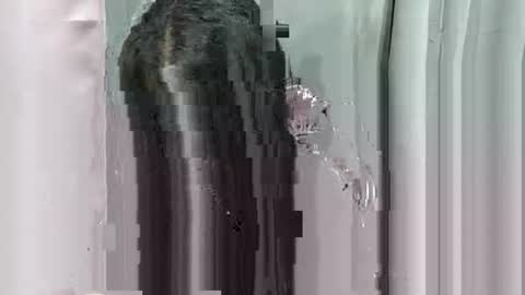 Snapshot of lhara_morena chatting on December 2025 12:11:02 PM lhara_morena online show from December 2025 12:11:02 PM