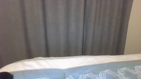 Cookie Monster online show from February 2026 04:40:02 AM