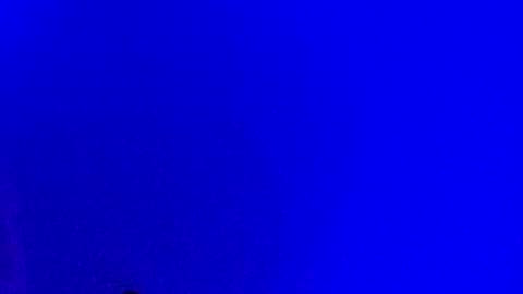 Snapshot of lickyouryoni chatting on January 2025 03:32:02 PM LickYourYoni online show from January 2025 03:32:02 PM