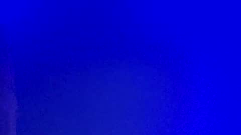 Snapshot of lickyouryoni chatting on February 2025 03:20:02 PM LickYourYoni online show from February 2025 03:20:02 PM