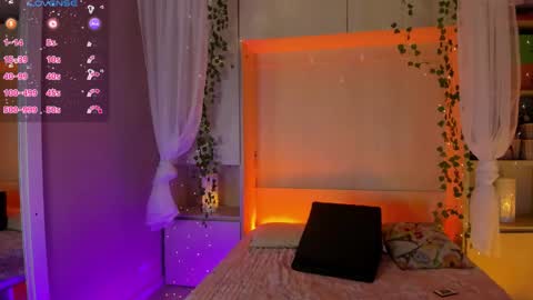         online show from February 2026 11:48:01 AM