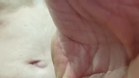 like_fun_ online show from April 2026 05:51:02 AM