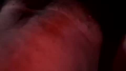 Liketoplay online show from March 2026 11:48:02 AM