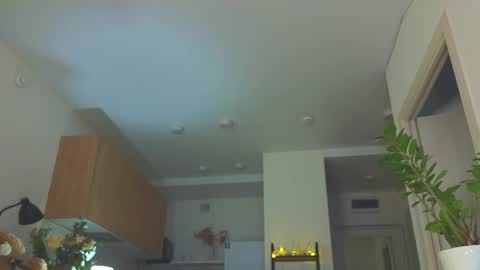 lili__roze_ online show from April 2026 05:16:01 AM