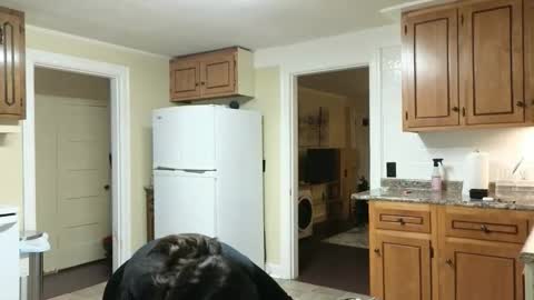 lilly_adams88 online show from November 2025 11:04:01 PM