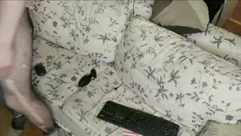 Snapshot of lillysissi chatting on July 2026 01:21:01 PM Lilli Sissy SlutCat online show from July 2026 01:21:01 PM